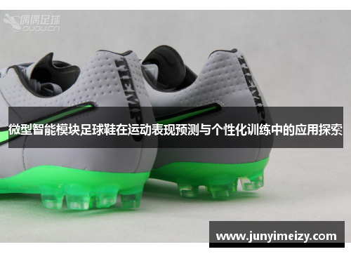 微型智能模块足球鞋在运动表现预测与个性化训练中的应用探索
